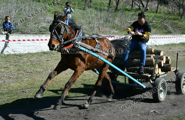 За Тодоровден по традиция в Бисер имаше кушии 