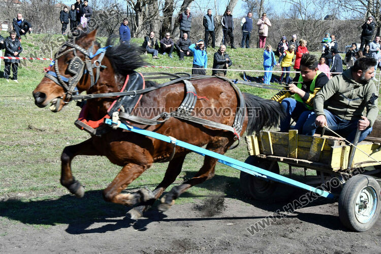 За Тодоровден по традиция в Бисер имаше кушии 