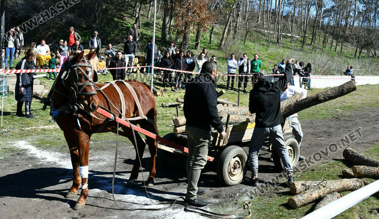 За Тодоровден по традиция в Бисер имаше кушии 