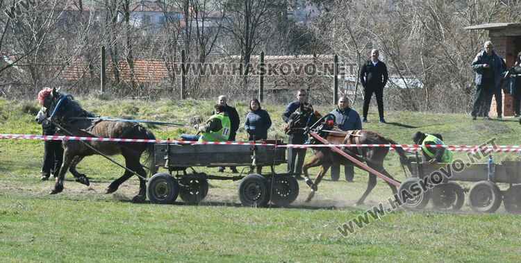За Тодоровден по традиция в Бисер имаше кушии 
