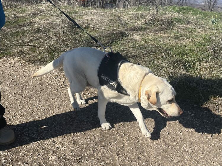 С поход започнаха събитията за годишнината от битката при Клокотница 