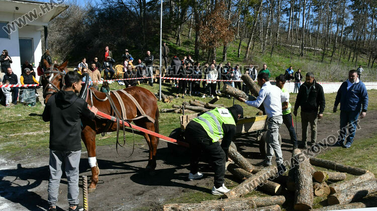 За Тодоровден по традиция в Бисер имаше кушии 