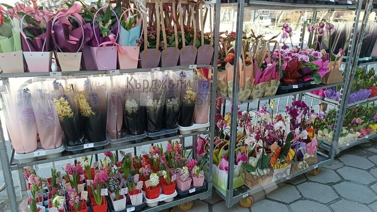 Опашки за цветя за Осми март в Кърджали