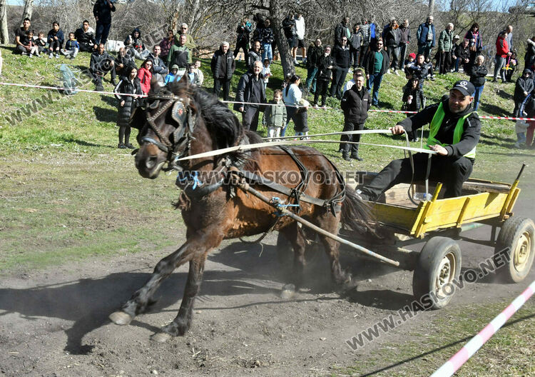 За Тодоровден по традиция в Бисер имаше кушии 