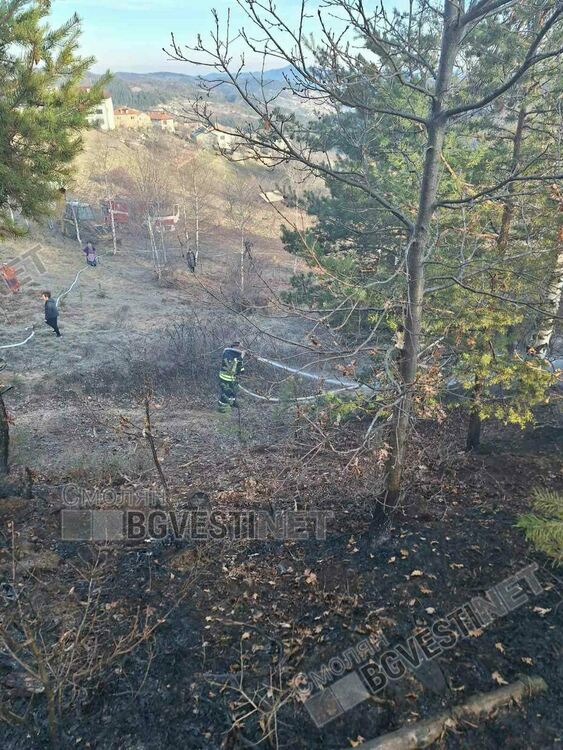 Пожар в с. Катраница вдигна на крак огнеборци, горски служители и доброволци
