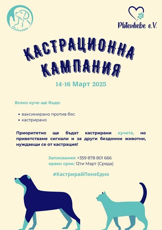 Организират безплатна кастрационна кампания в Кърджали