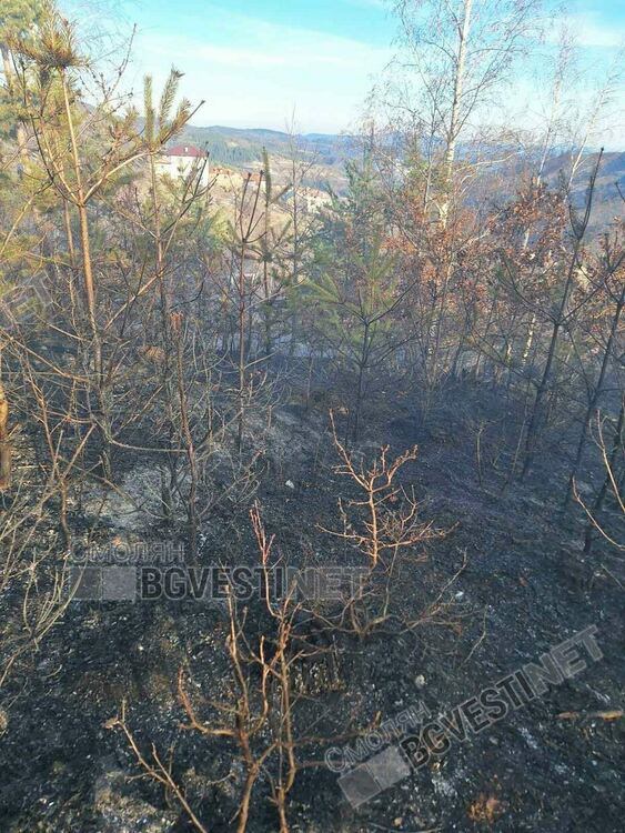 Пожар в с. Катраница вдигна на крак огнеборци, горски служители и доброволци