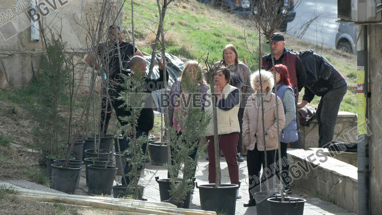 Община Смолян тушира междусъседско напрежение като засади декоративни дървета