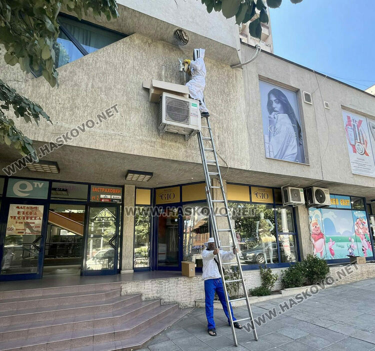 Не смъртността при пчелите, а ниските изкупни цени са основният проблем на пчеларите в Хасковско