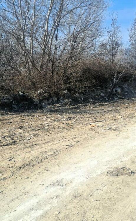 Разчистиха 125 дка нерегламентирано сметище в Асеновград