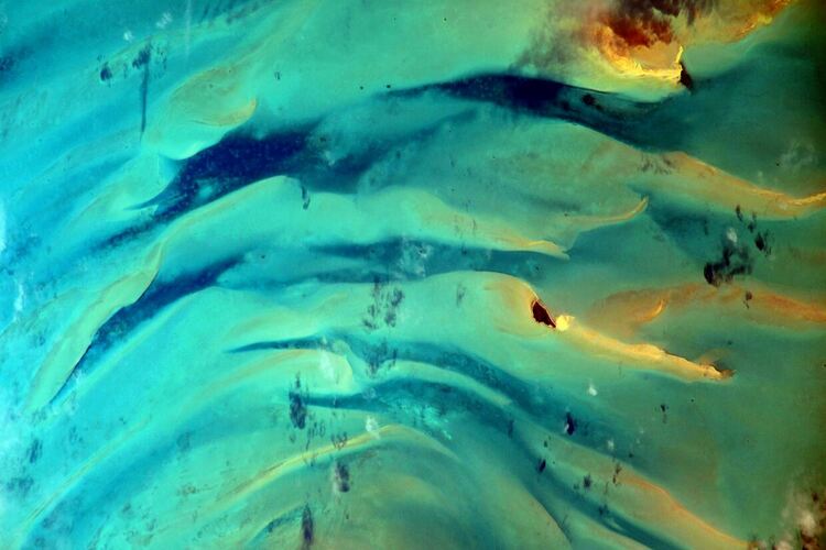 Астронавт на НАСА засне зашеметяваща снимка на Земята