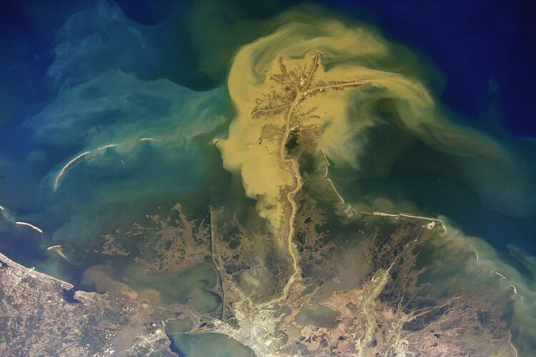 Астронавт на НАСА засне зашеметяваща снимка на Земята