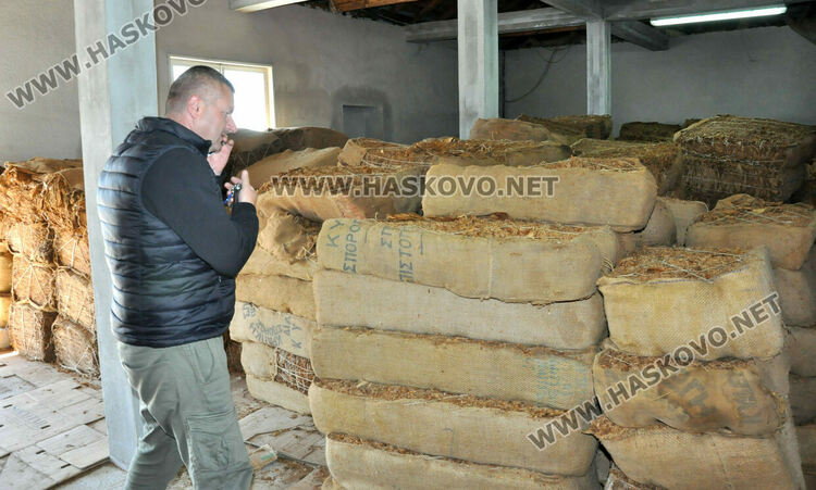 Ниските изкупни цени са основният проблем на тютюнопроизводителите в Хасковско