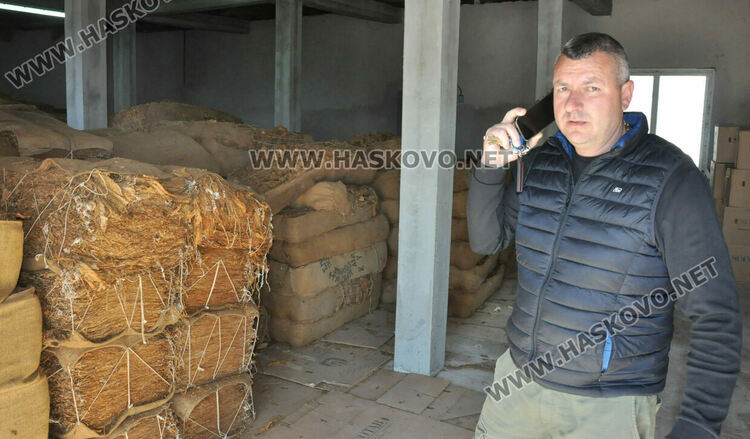 Ниските изкупни цени са основният проблем на тютюнопроизводителите в Хасковско