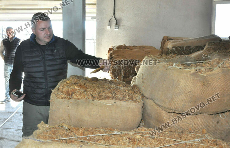 Ниските изкупни цени са основният проблем на тютюнопроизводителите в Хасковско