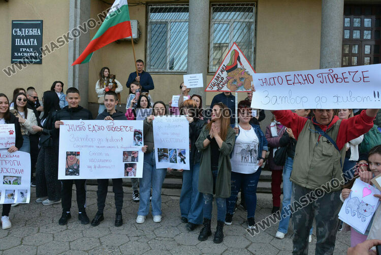 Десетки излязоха на протест в защита на животните в Хасково