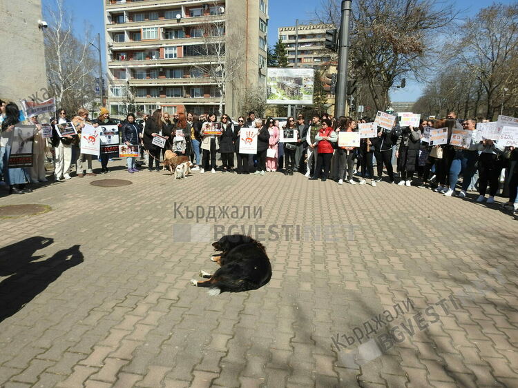 Кърджалийци излязоха на протест в защита на животните,  искат адекватно законодателство срещу насилниците на четириногите