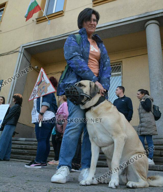 Десетки излязоха на протест в защита на животните в Хасково