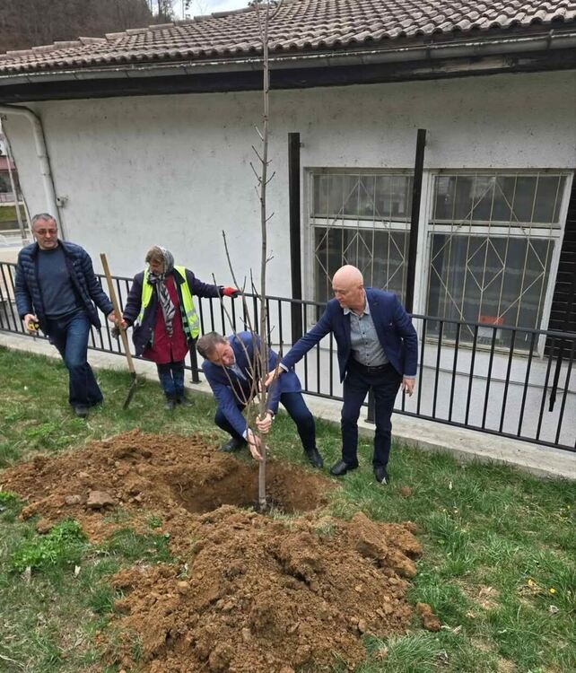 Мадан става по-зелен с нови дръвчета