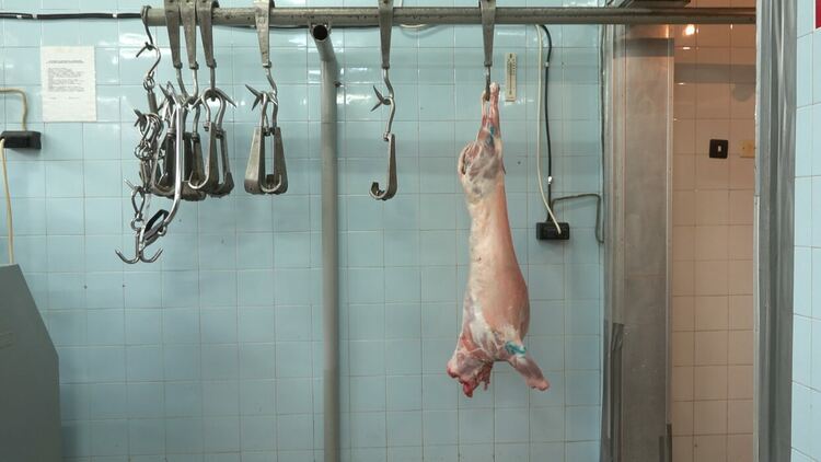 Пенсионерите в Хасково не са доволни от Великденската добавка в размер на 50 лева