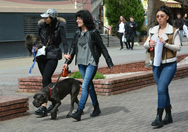 Десетки излязоха на протест срещу насилието над животни в Хасково