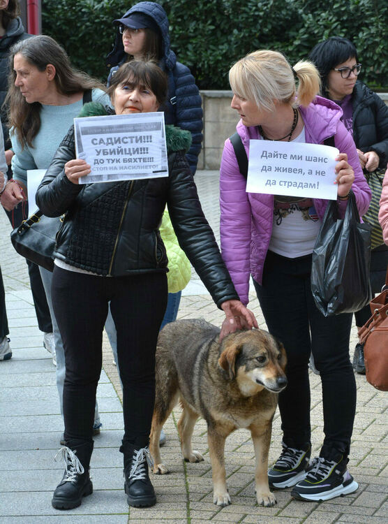 Десетки излязоха на протест срещу насилието над животни в Хасково