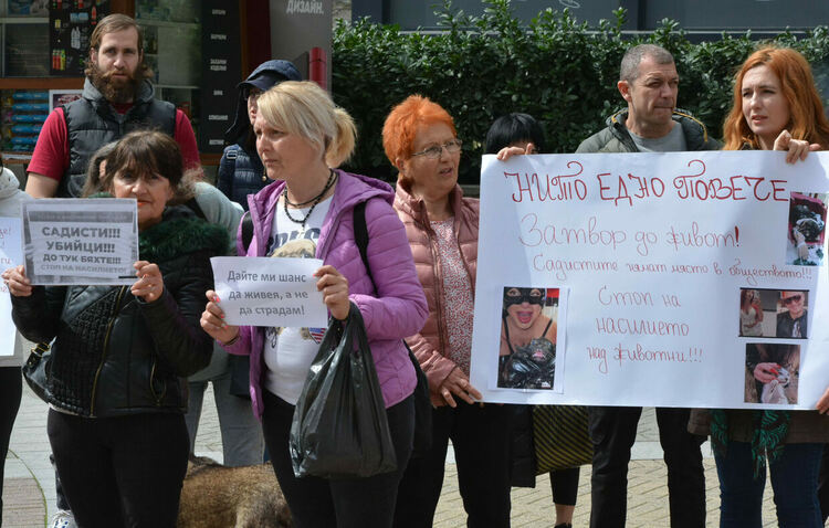 Десетки излязоха на протест срещу насилието над животни в Хасково