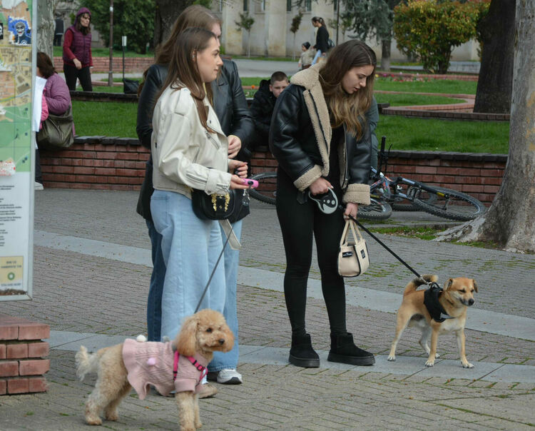 Десетки излязоха на протест срещу насилието над животни в Хасково