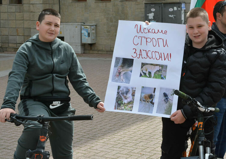 Десетки излязоха на протест срещу насилието над животни в Хасково