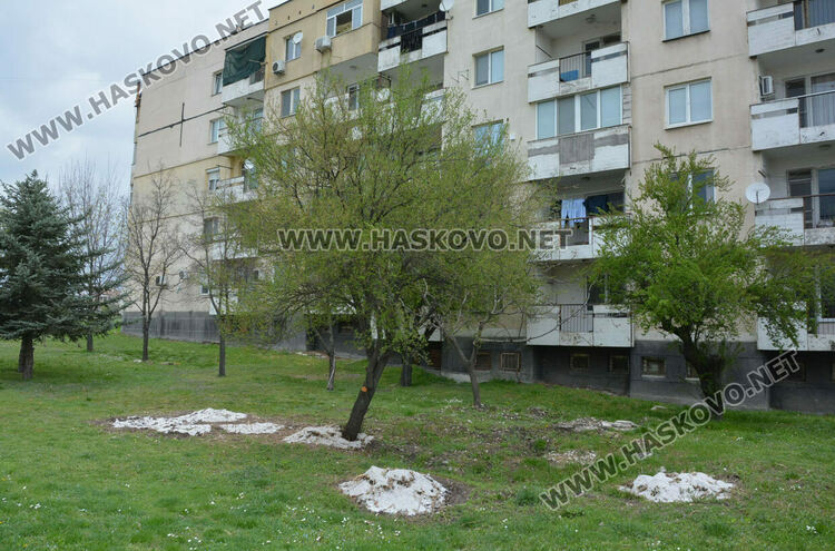 Посипана едра сол в градинка в „Бадема“ смути хасковлии 