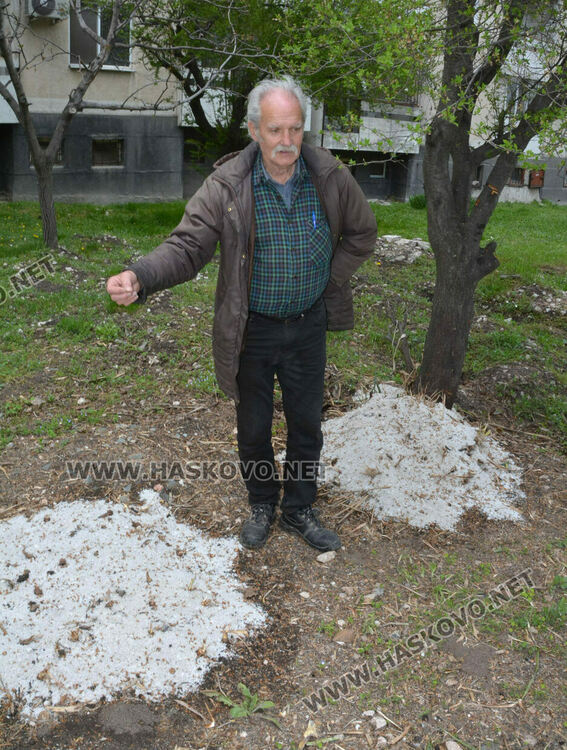 Посипана едра сол в градинка в „Бадема“ смути хасковлии 