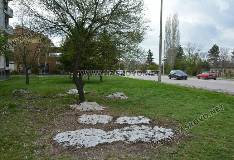 Посипана едра сол в градинка в „Бадема“ смути хасковлии 
