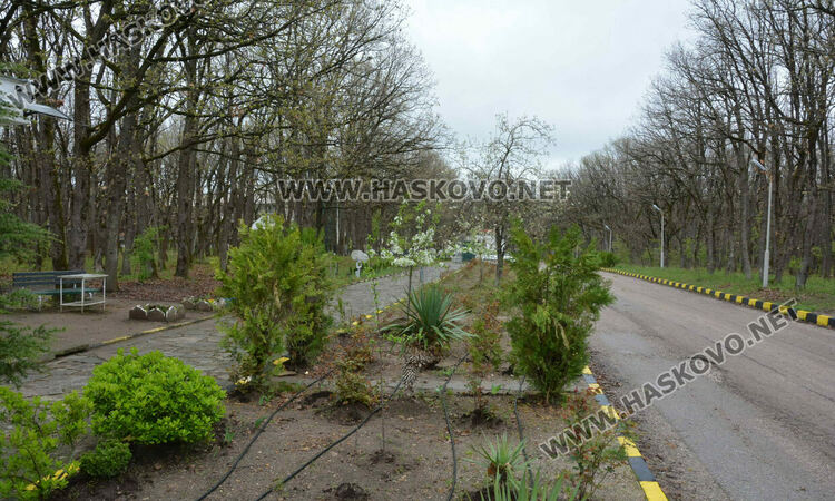 Започна разчистването на терена за новия старчески дом в Хасково