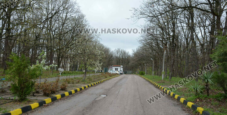 Започна разчистването на терена за новия старчески дом в Хасково