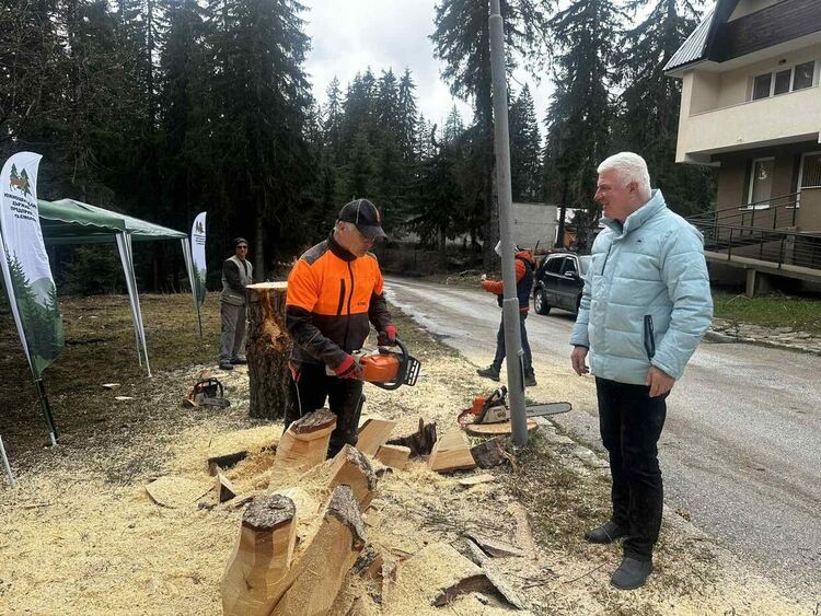 Карвинг пленер на Пампорово събира средства за „Деца с онкохематологични заболявания“