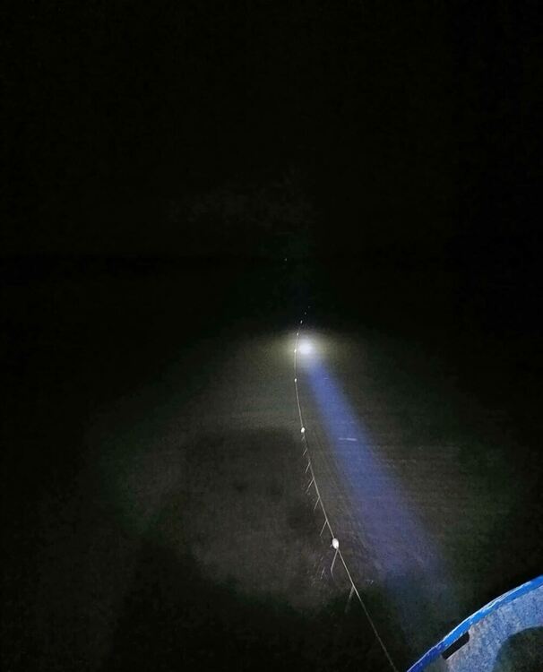 Извадиха още 490 метра мрежи от „Тракиец“ с шаран, каракуда и амур