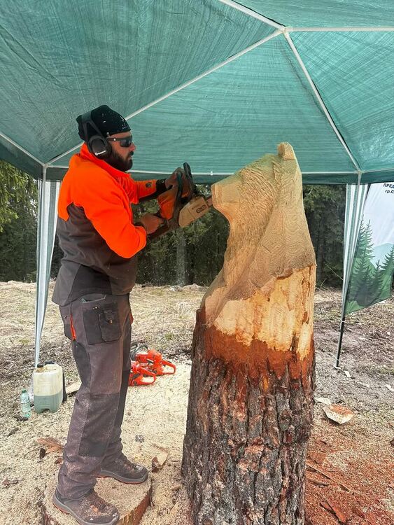 Карвинг пленер в Пампорово събира таланти от цялата страна в името на благотворителността