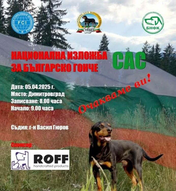 Две киноложки изложби се провеждат днес в Димитровград