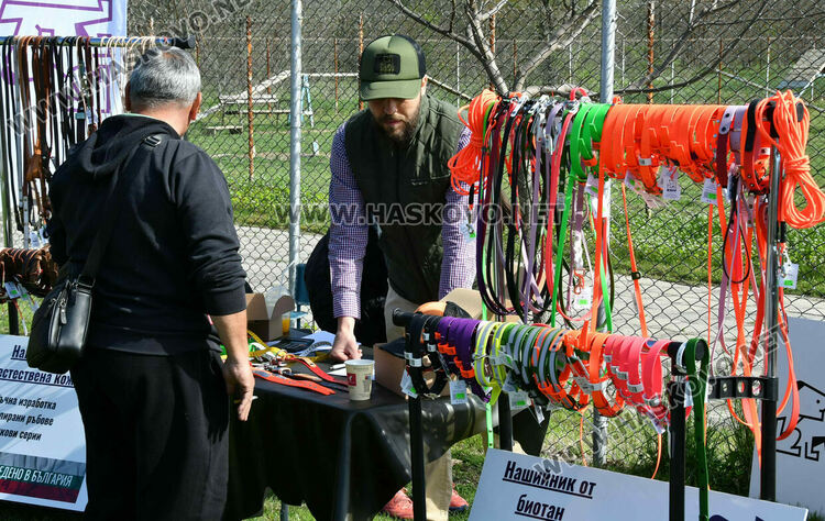 126 елитни кучета дефилират на Шоу на шампионите