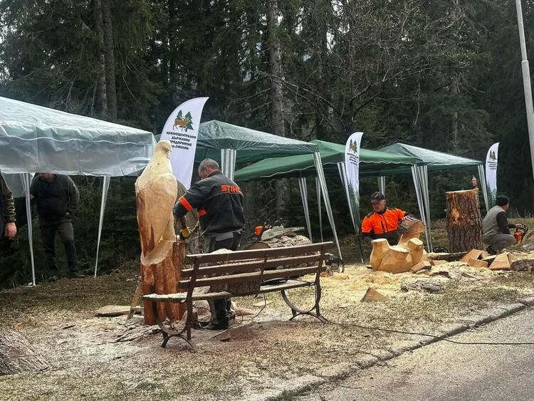 Карвинг пленер в Пампорово събира таланти от цялата страна в името на благотворителността