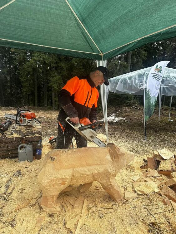 Карвинг пленер в Пампорово събира таланти от цялата страна в името на благотворителността