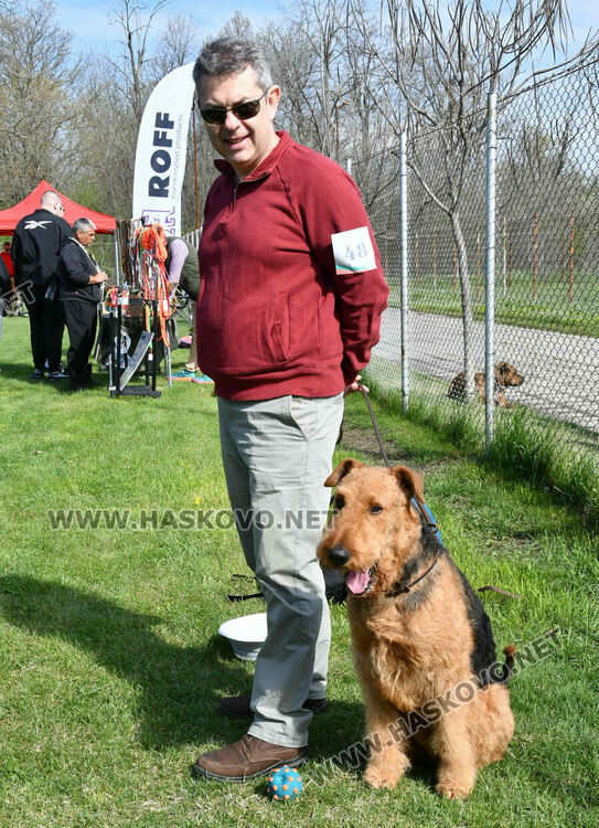 126 елитни кучета дефилират на Шоу на шампионите