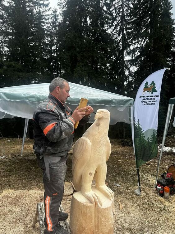Карвинг пленер в Пампорово събира таланти от цялата страна в името на благотворителността