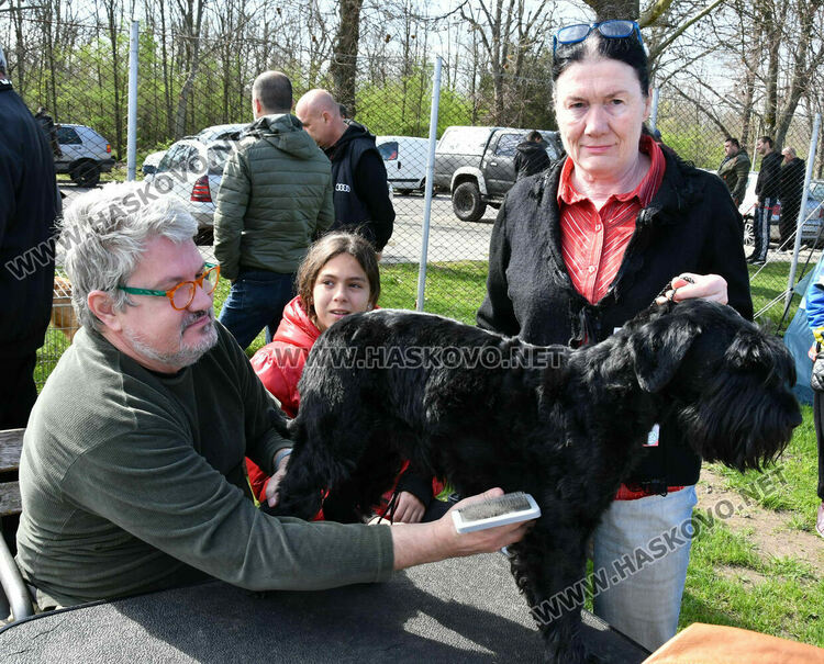 126 елитни кучета дефилират на Шоу на шампионите