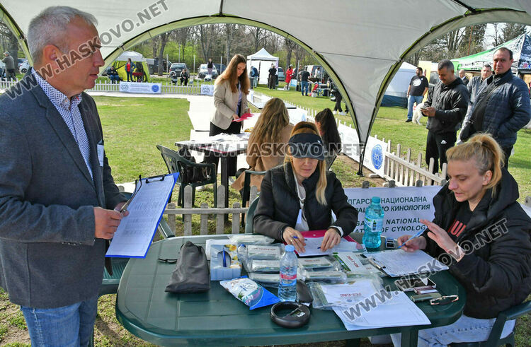 126 елитни кучета дефилират на Шоу на шампионите