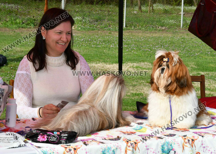 126 елитни кучета дефилират на Шоу на шампионите