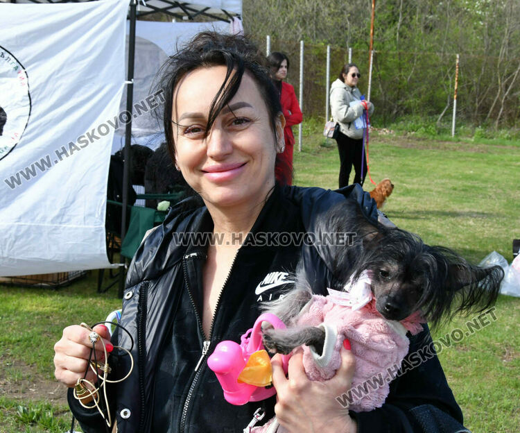 126 елитни кучета дефилират на Шоу на шампионите