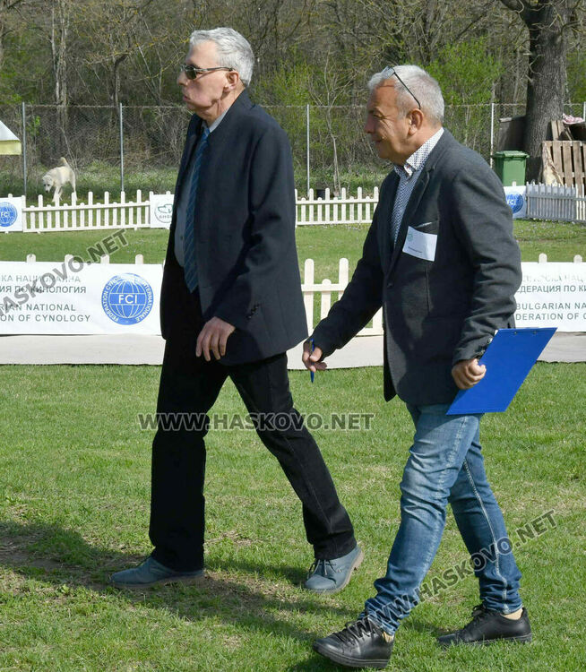 126 елитни кучета дефилират на Шоу на шампионите