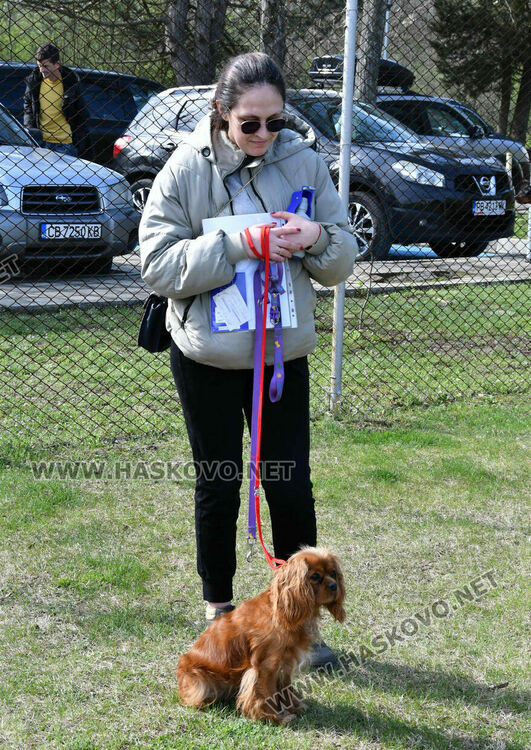 126 елитни кучета дефилират на Шоу на шампионите