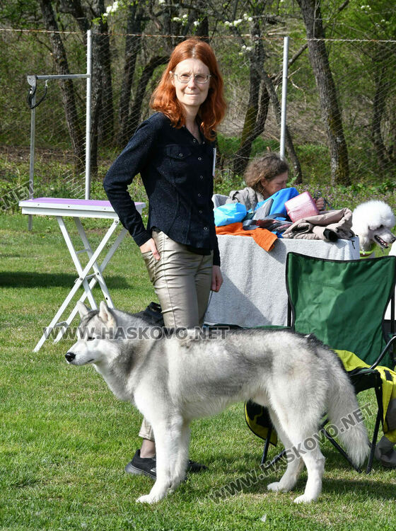 126 елитни кучета дефилират на Шоу на шампионите